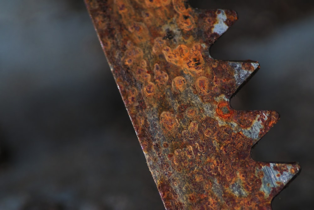 brown wood with water droplets