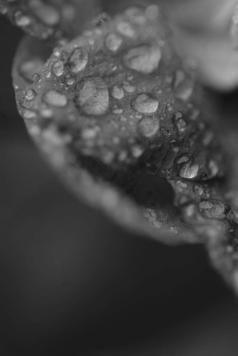 water droplets on clear glass