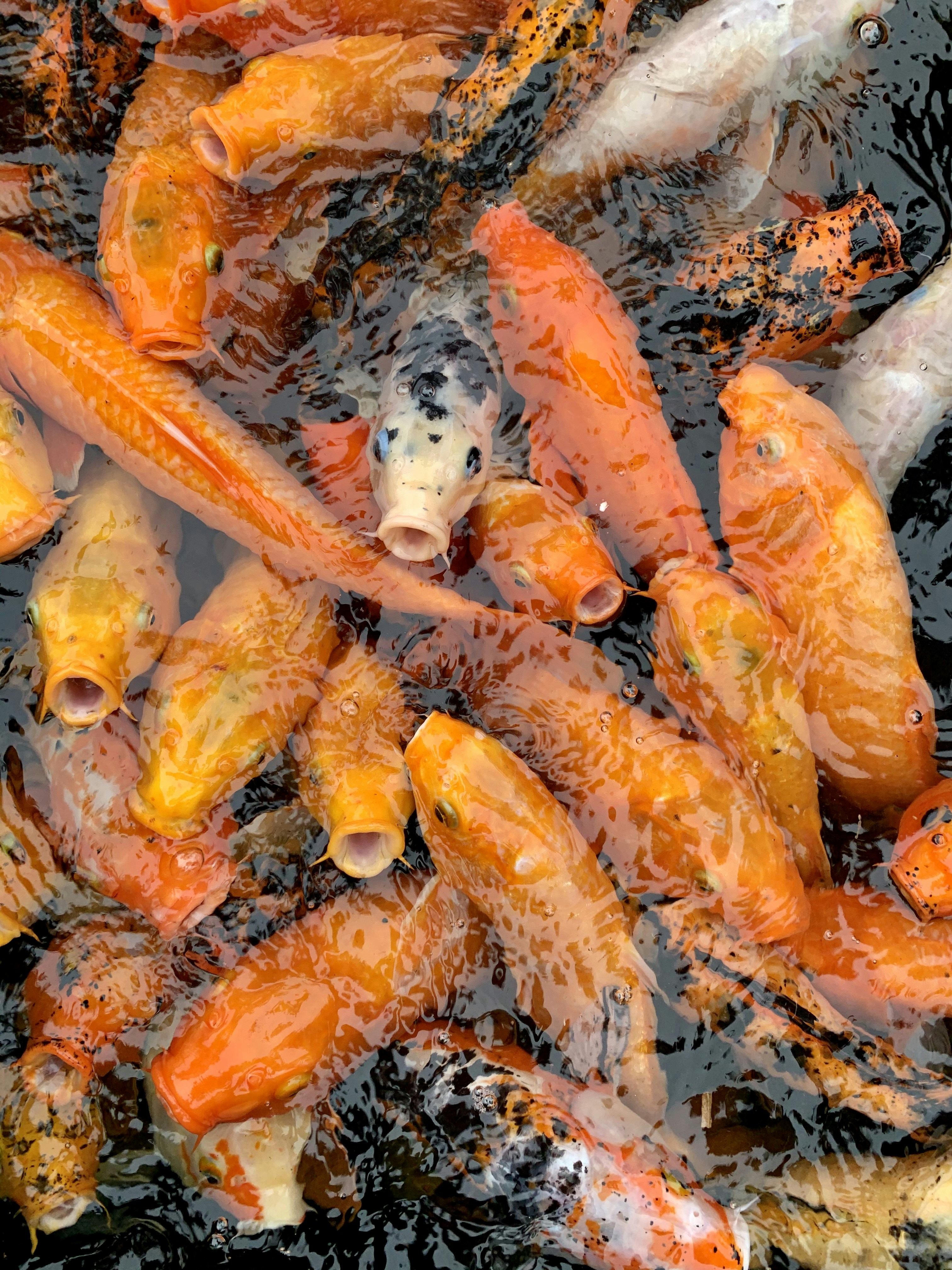 Photo by ashley_hayes