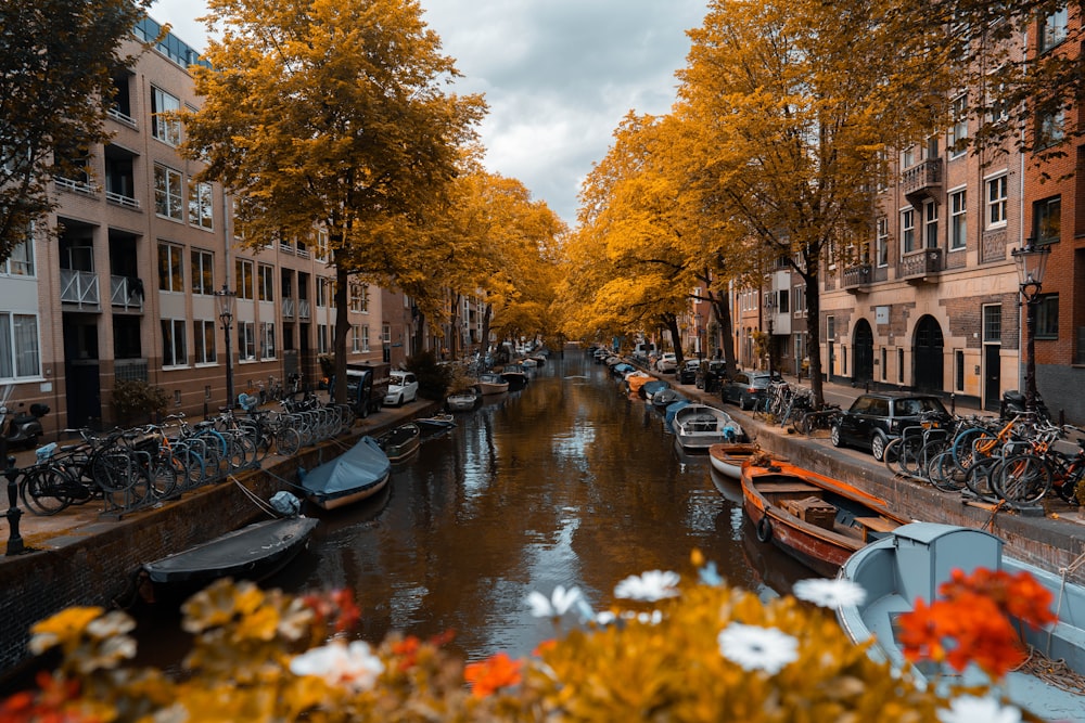 boat on river between trees and buildings during daytime