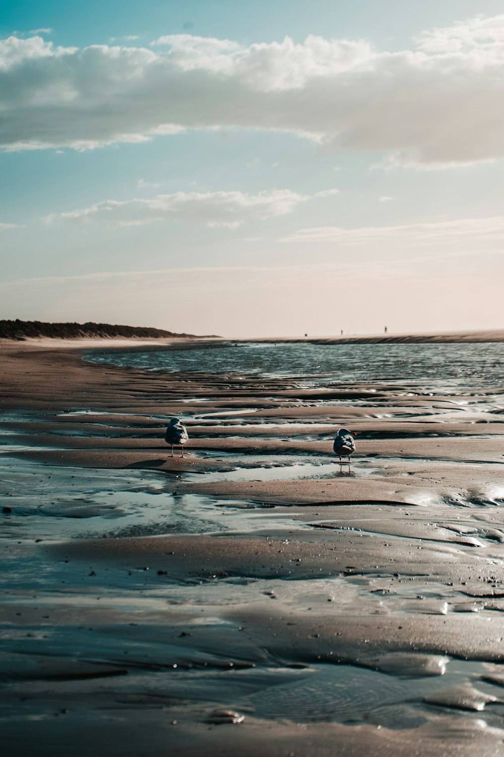 people on beach during daytime