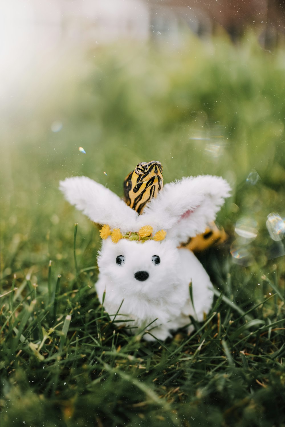 white and yellow chick plush toy on green grass