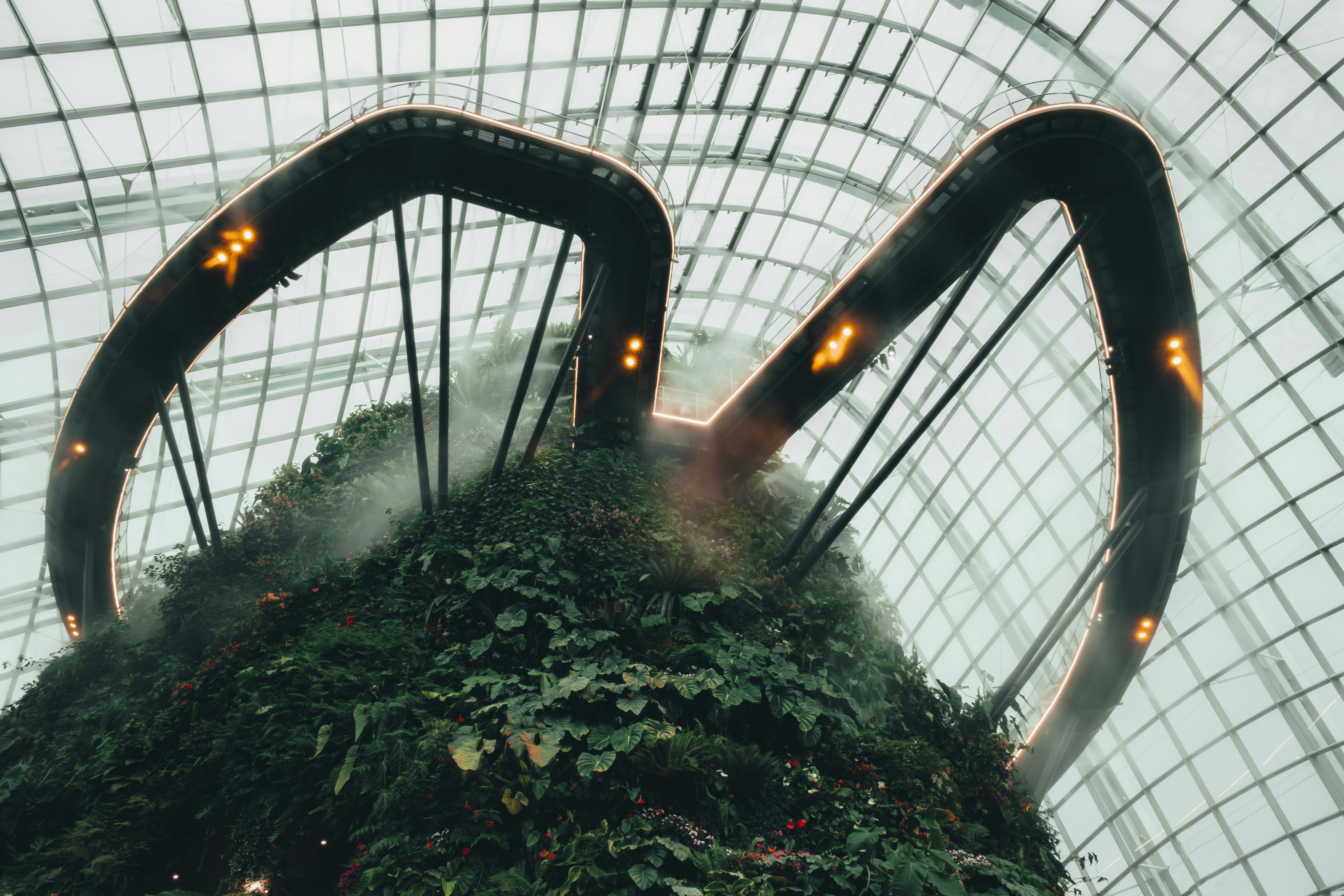 Photo by jackjackhan