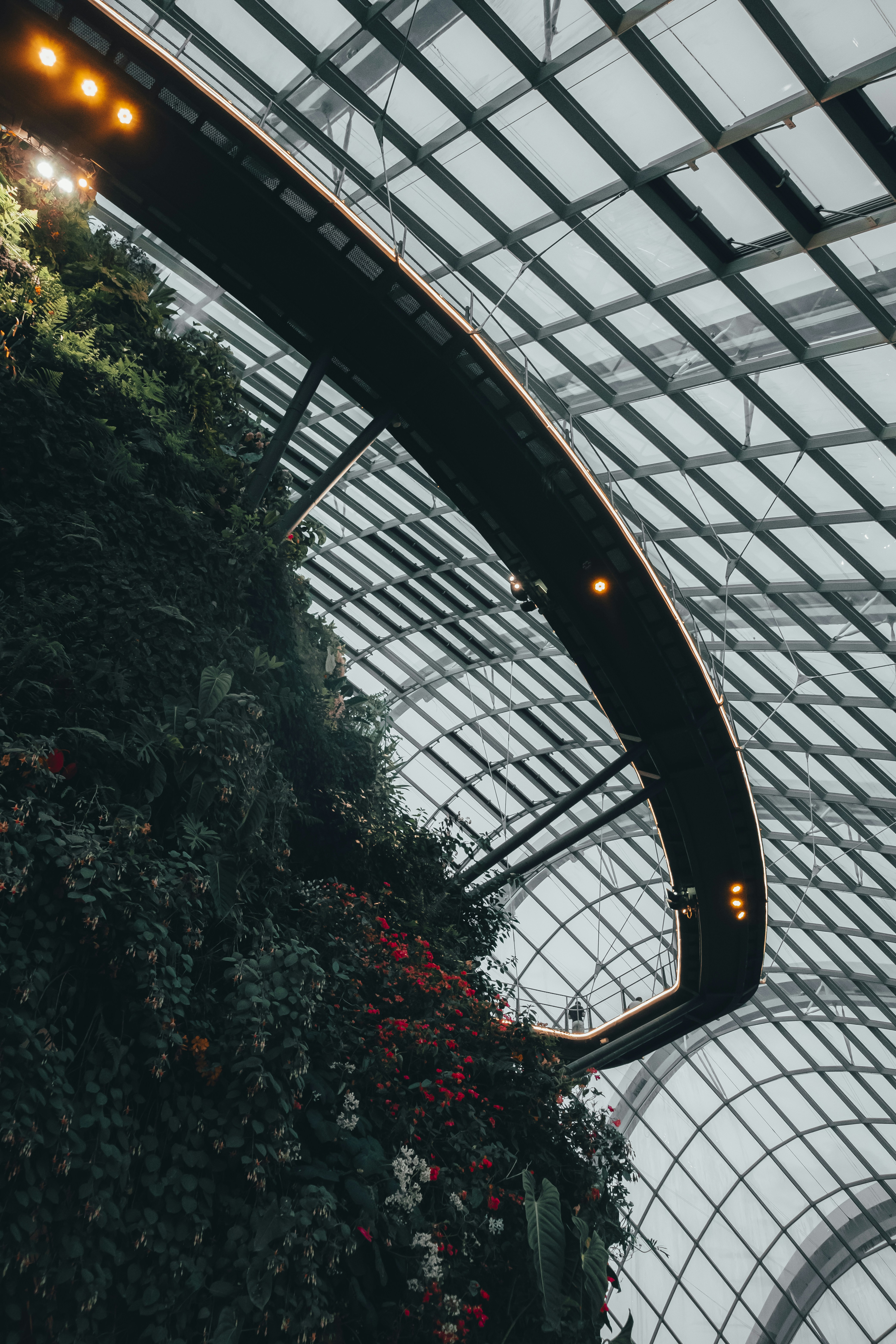 Photo by jackjackhan