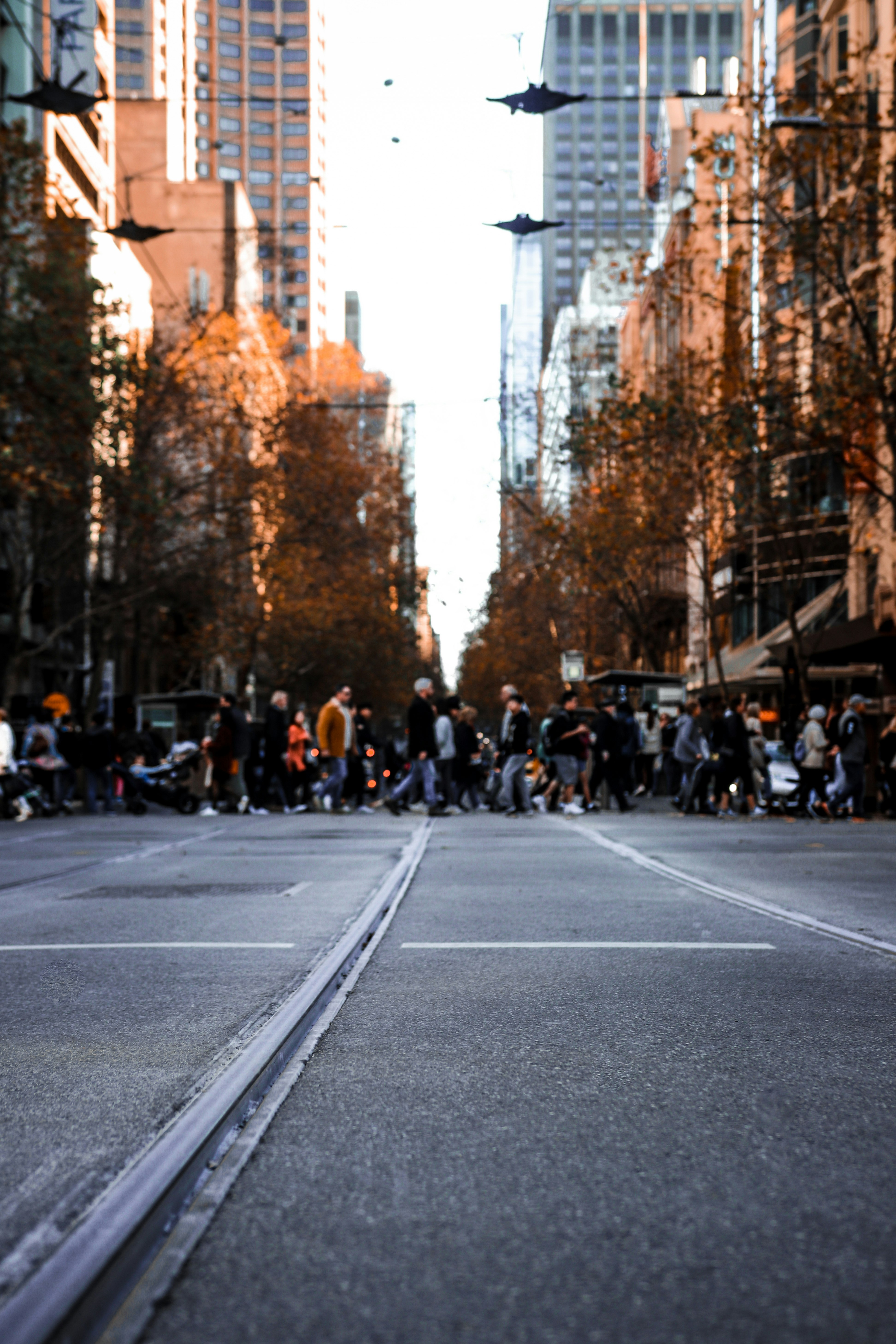 people walking on the street during daytime