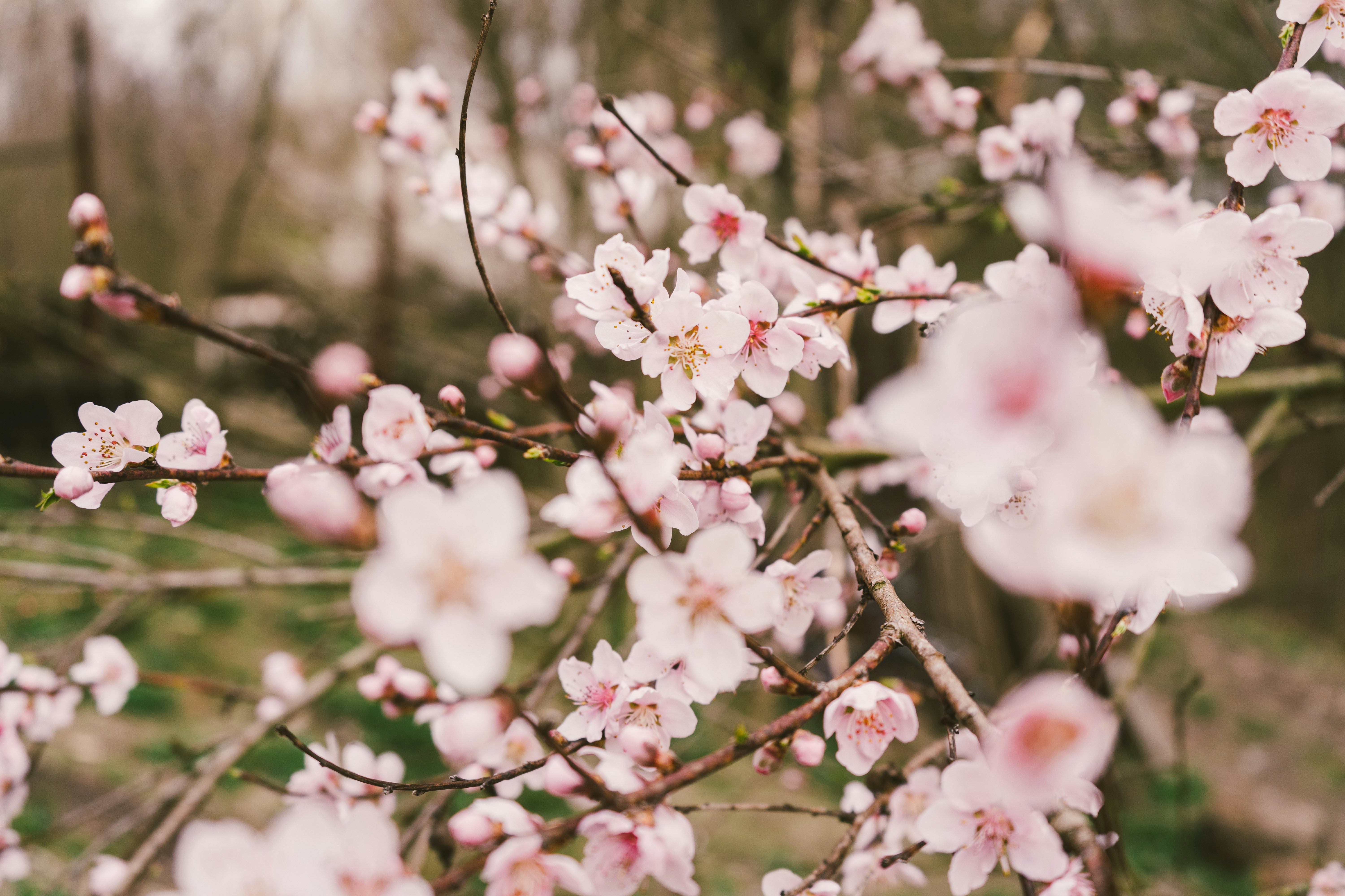 Photo by thestefankostic