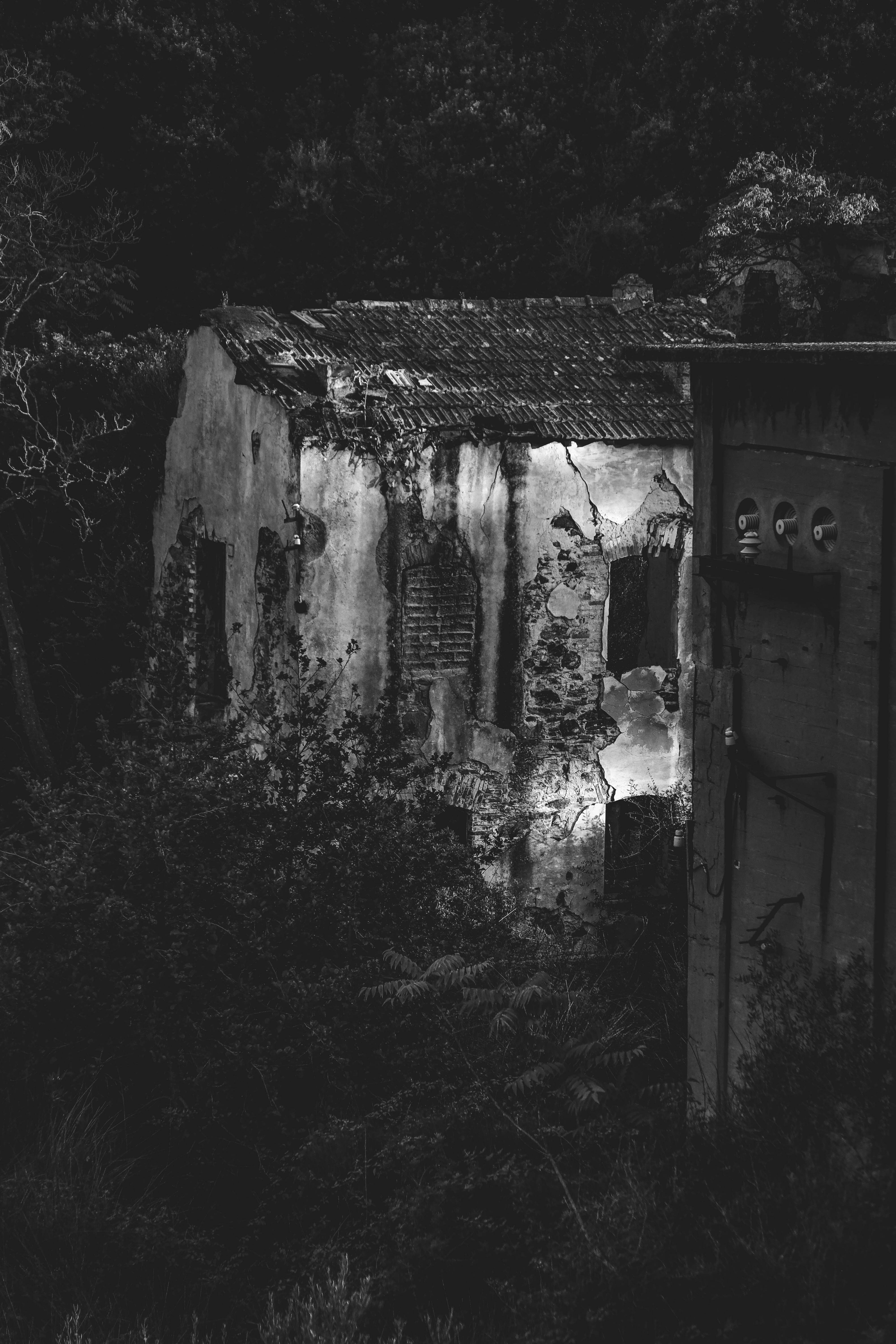 Photo by francesco_ungaro