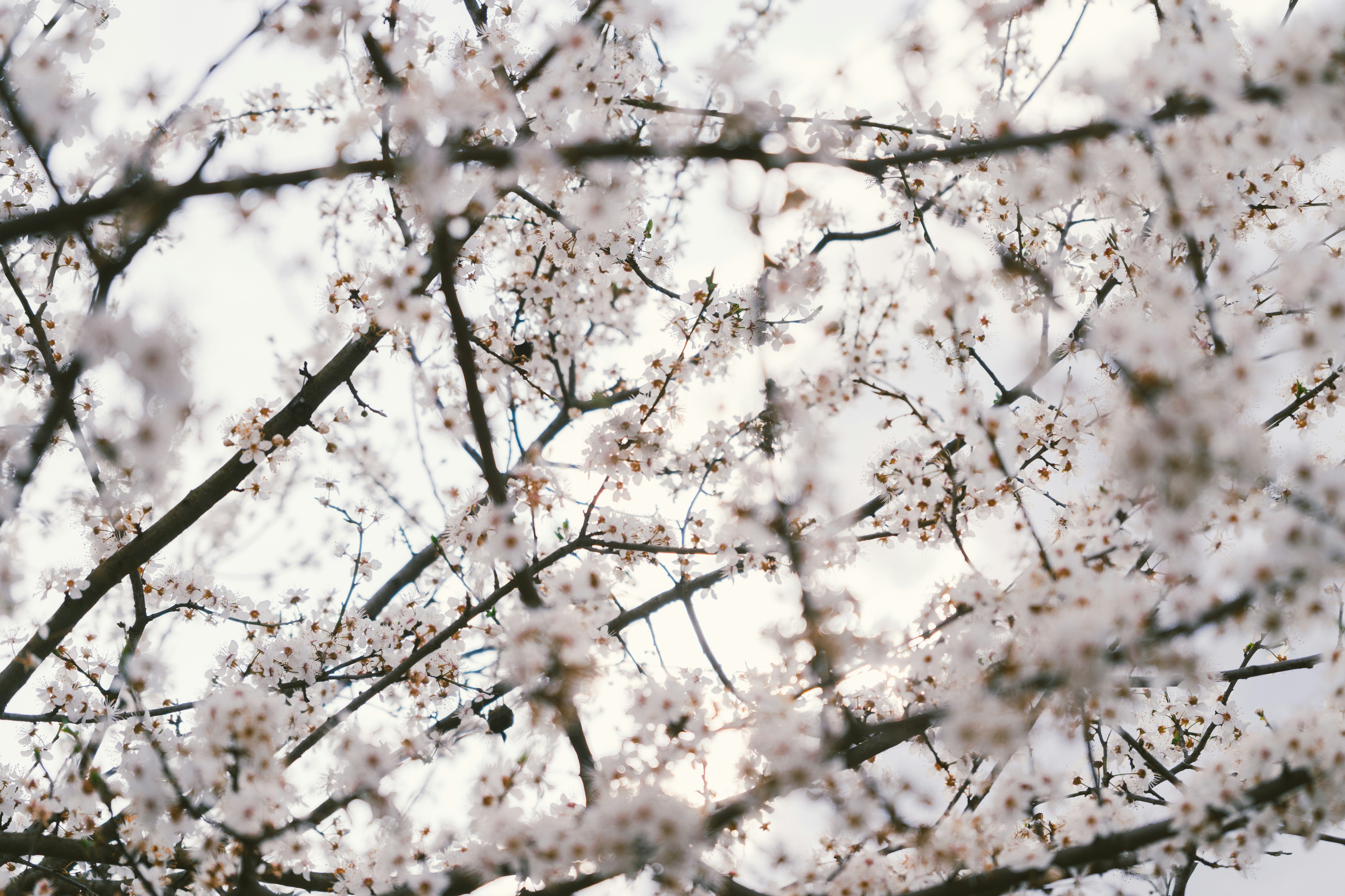 Photo by thestefankostic