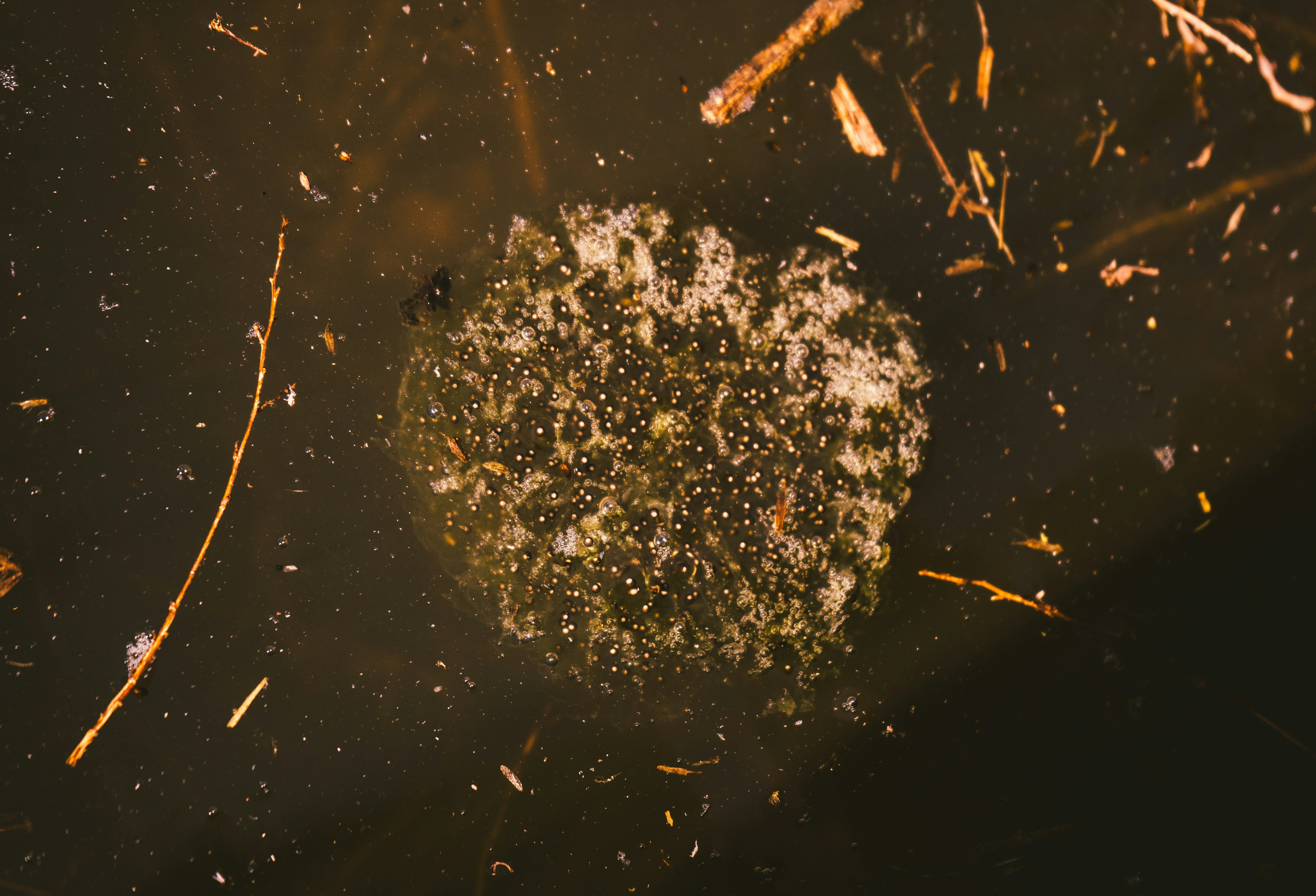 The Power of Micrometeorite Bombardment (image credits: unsplash)