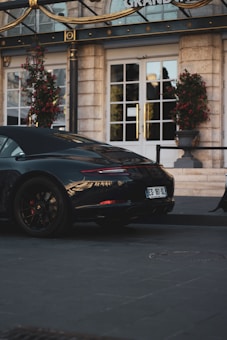 A sleek, black luxury sports car is parked on a paved street in front of a grand hotel entrance with large white doors. The area is adorned with ornate gold accents and tall potted plants with red flowers.