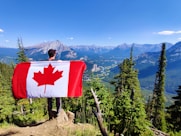 red and white flag on brown tree trunk