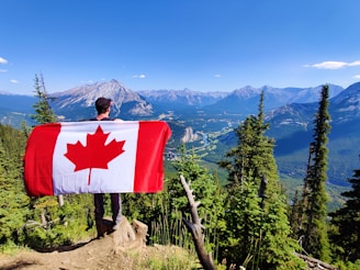 red and white flag on brown tree trunk