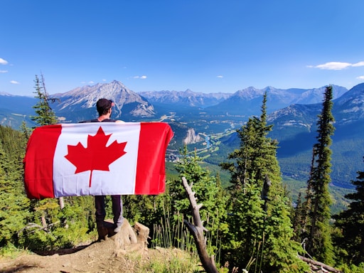 red and white flag on brown tree trunk