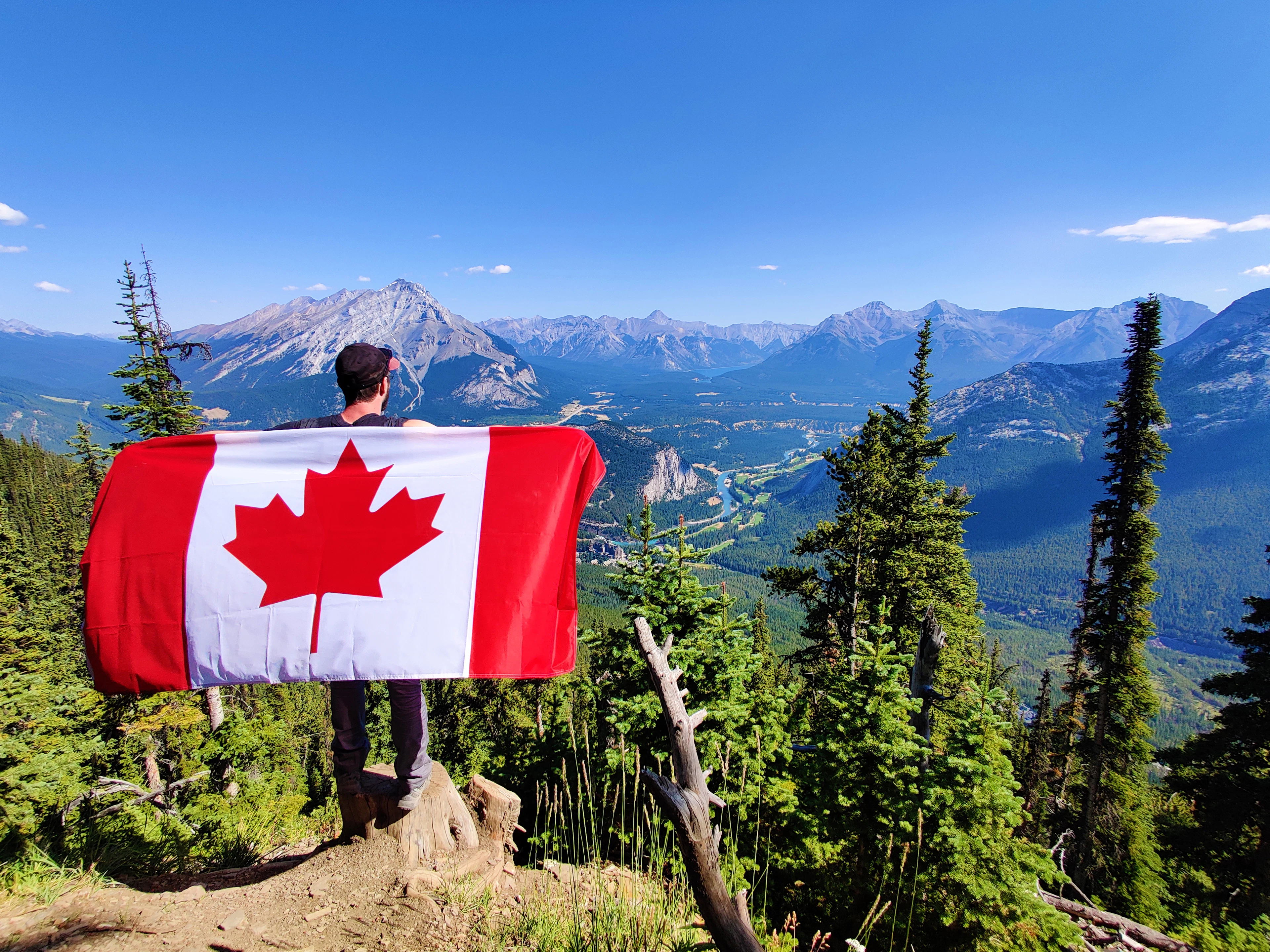 Canadian flag hanging on a tree trunk