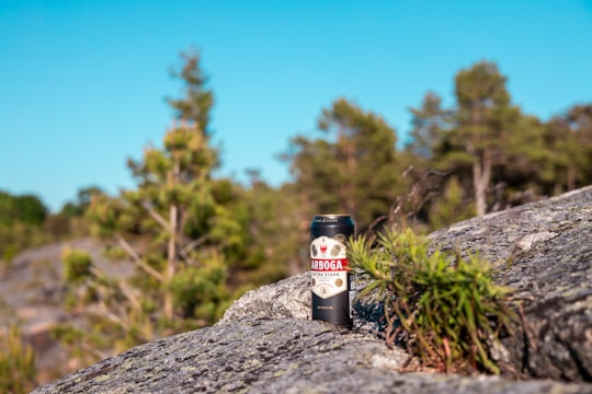 white and black labeled bottle on gray rock in Öregrund Sweden