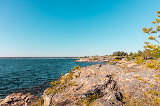 green grass on brown rocky shore during daytime in Öregrund Sweden