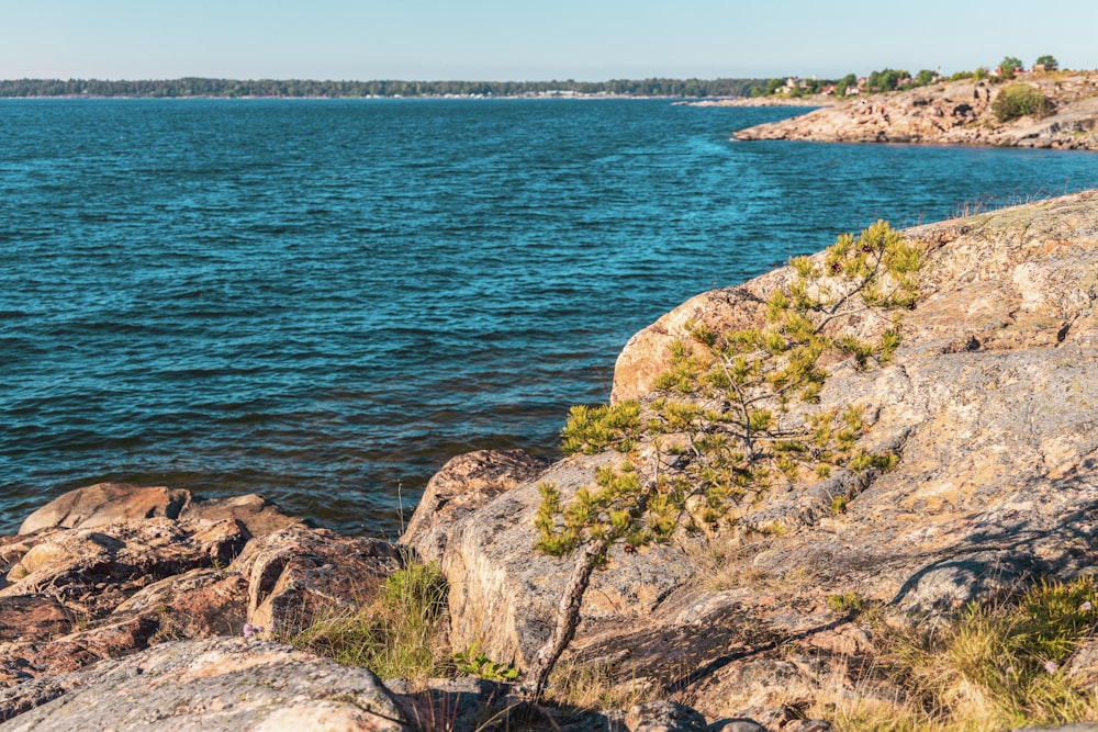 brown rock formation beside body of water during daytime