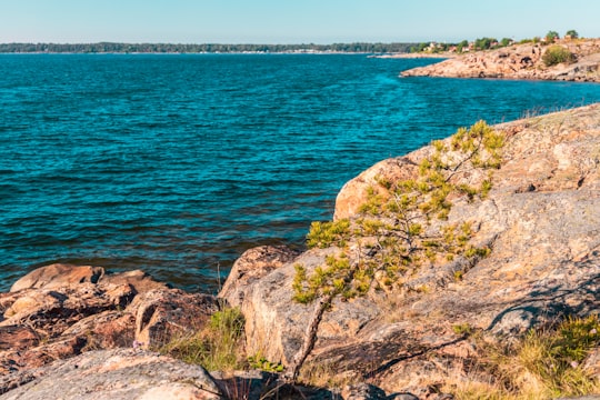 brown rock formation beside body of water during daytime in Öregrund Sweden