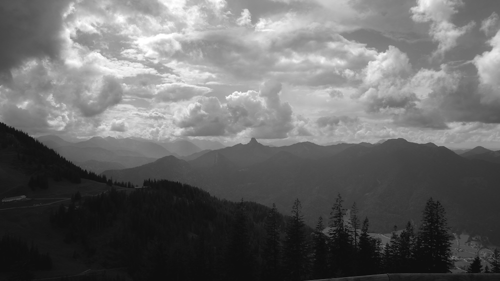 grayscale photo of trees and mountains