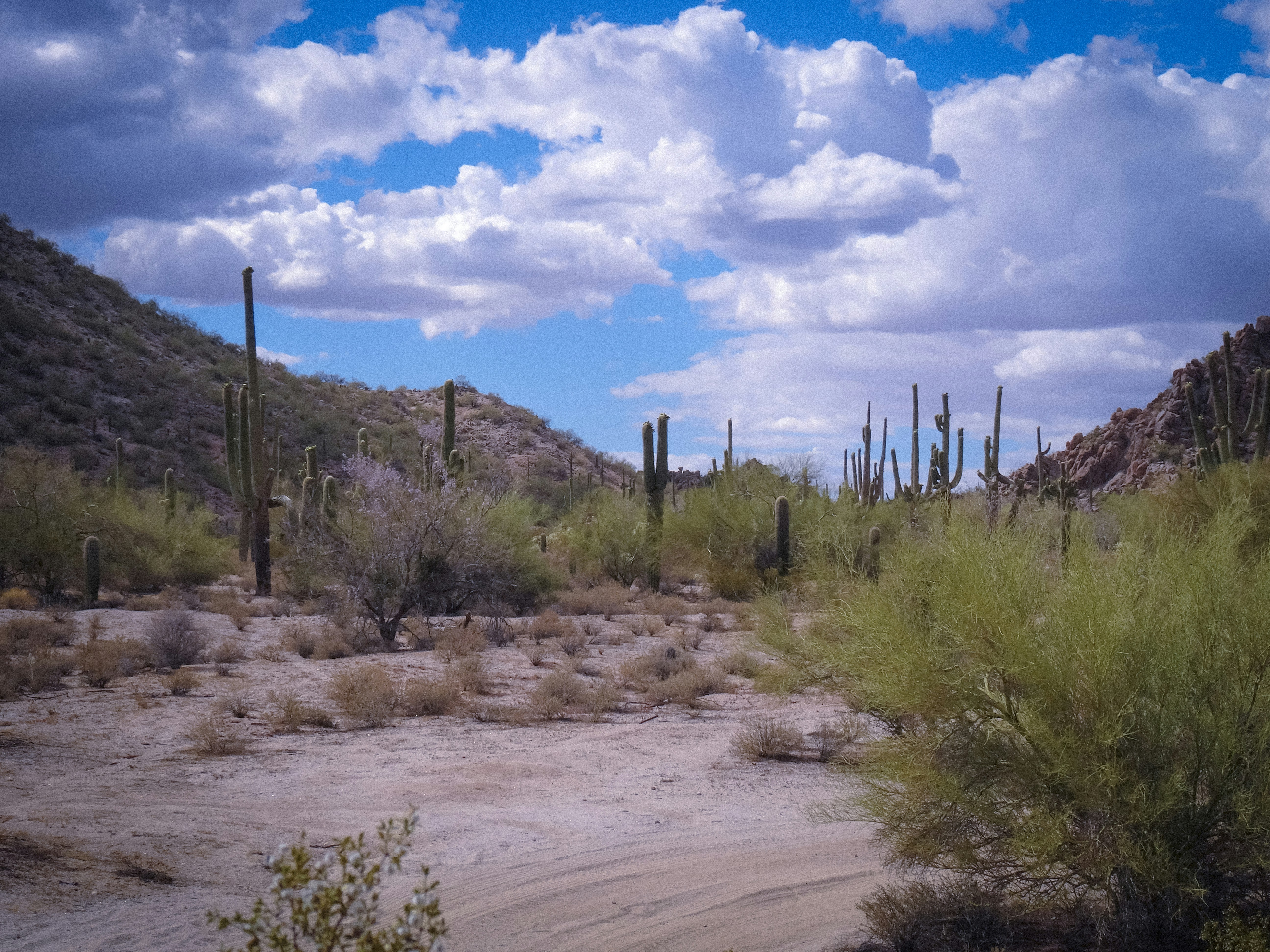 Photo by vangelis1982