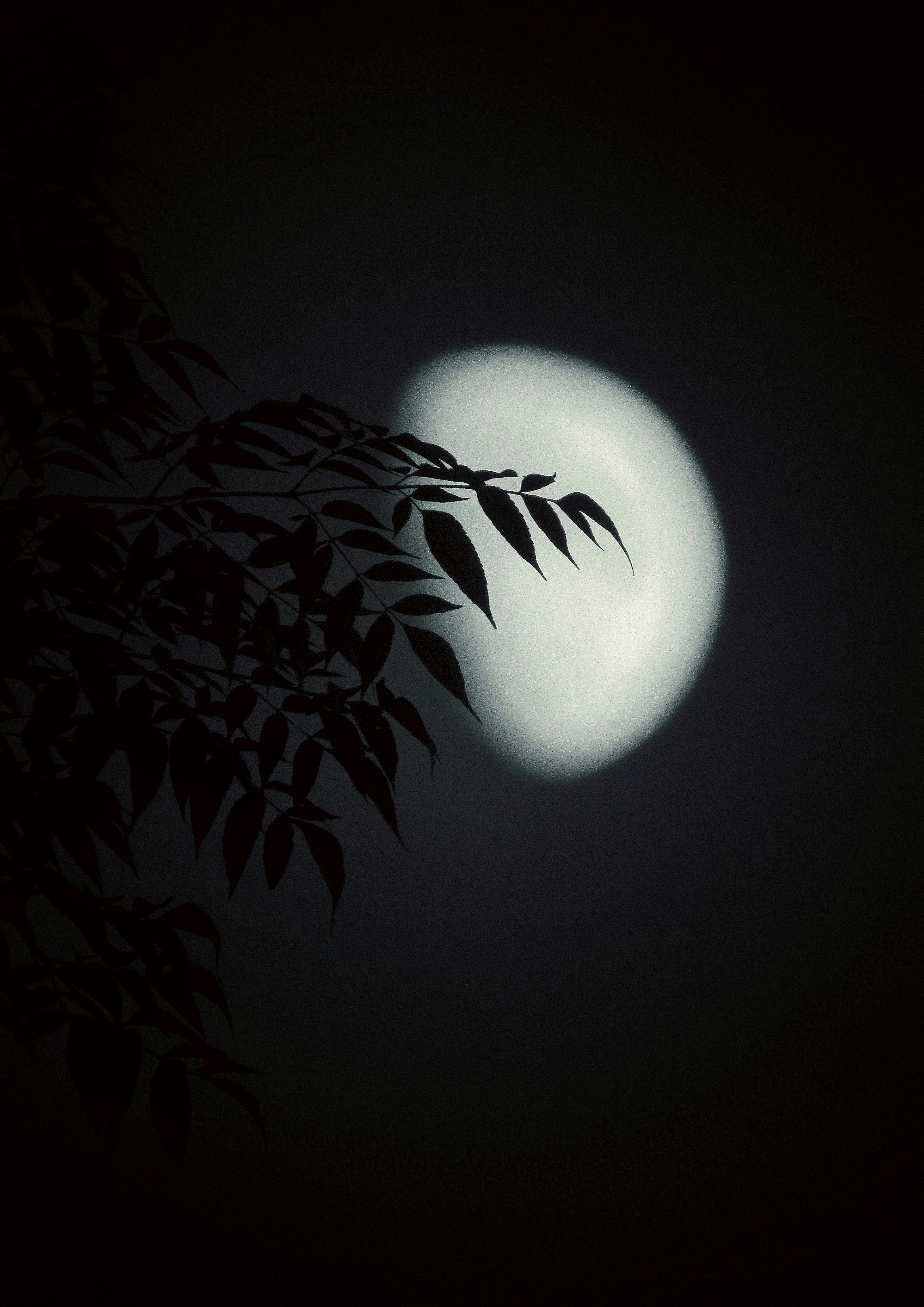 Top 10 places to visit in Bihar image 11