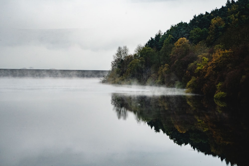 green trees beside lake under white sky during daytime