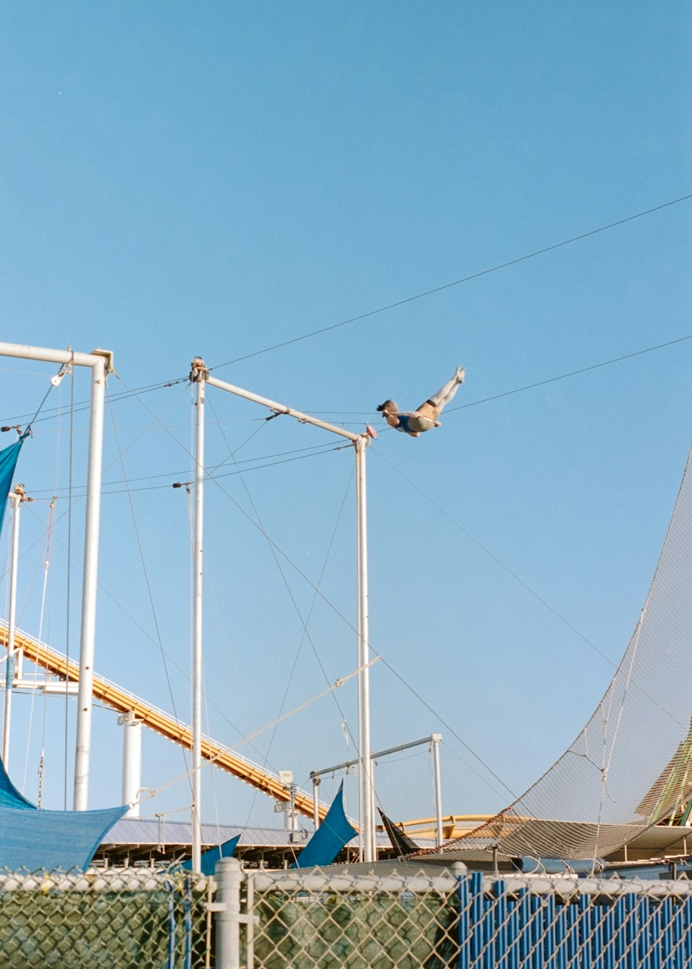 white and black bird flying over blue metal bridge during daytime