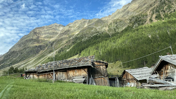 Jibhi valley cottages scattered on a hillside, framed by dense pine trees and blue skies.