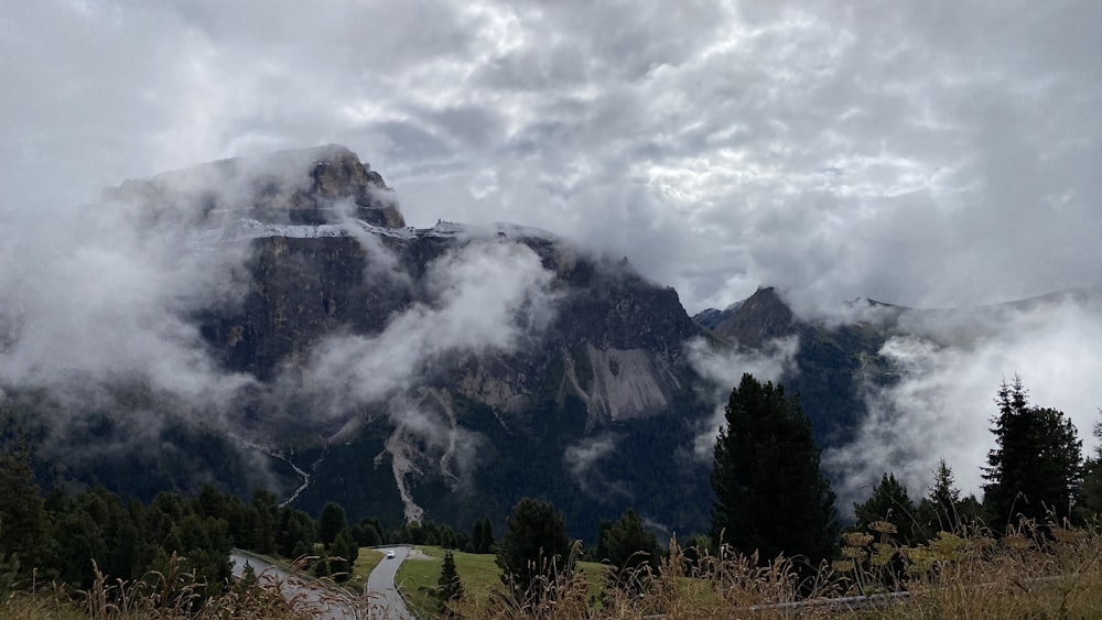 green trees near mountain under white clouds during daytime