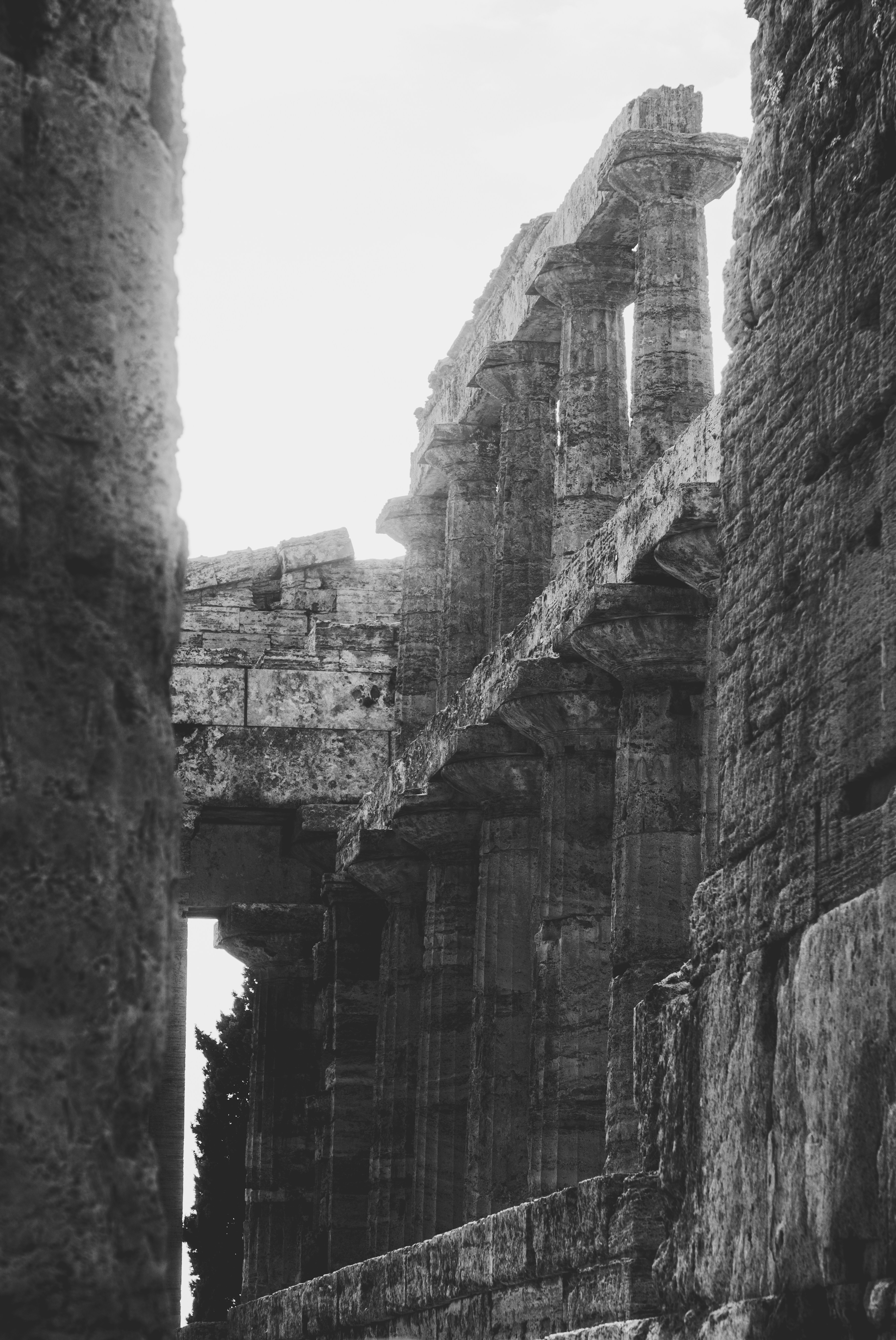 Photo by mrsunflower94