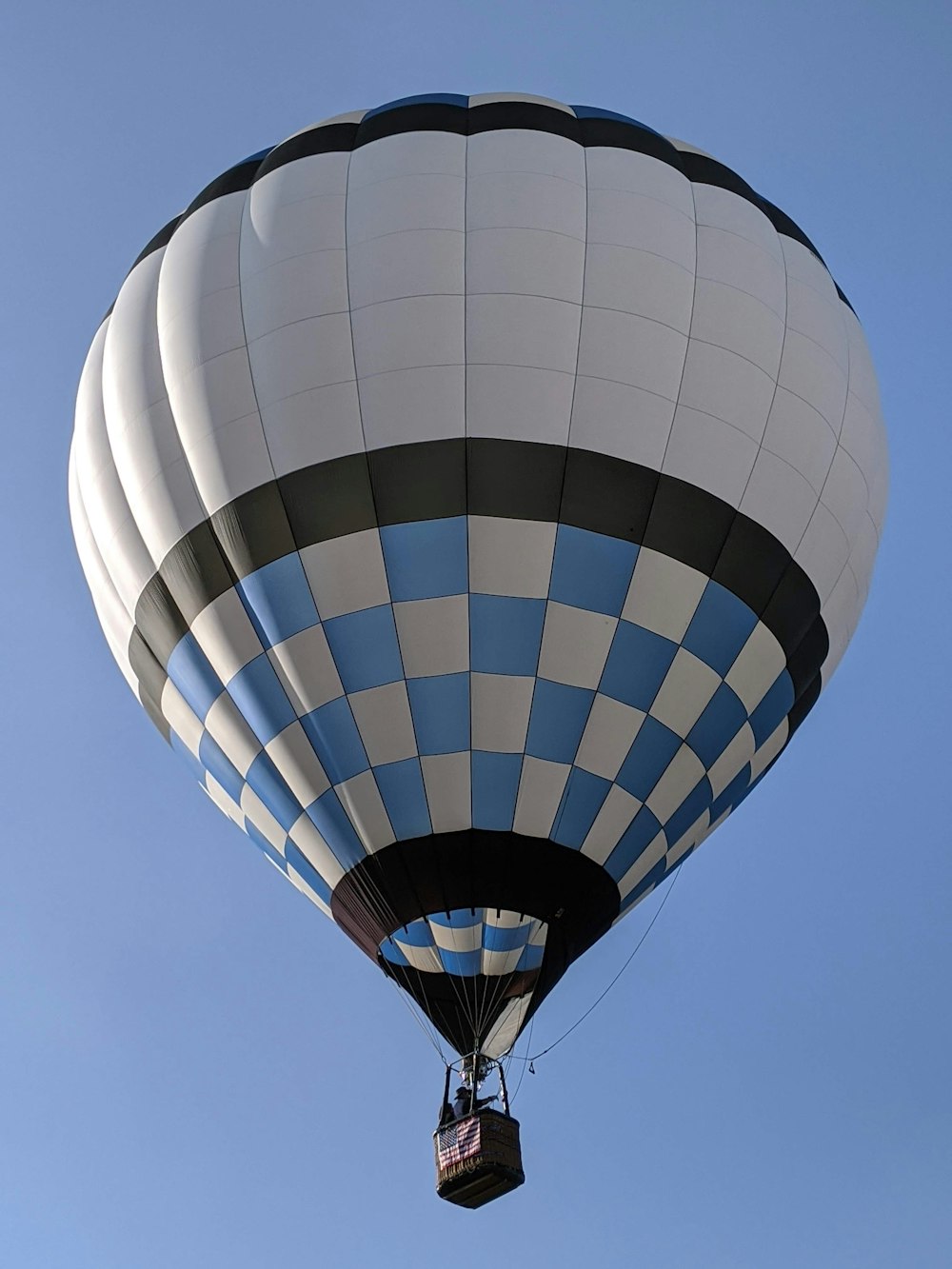 white and blue hot air balloon