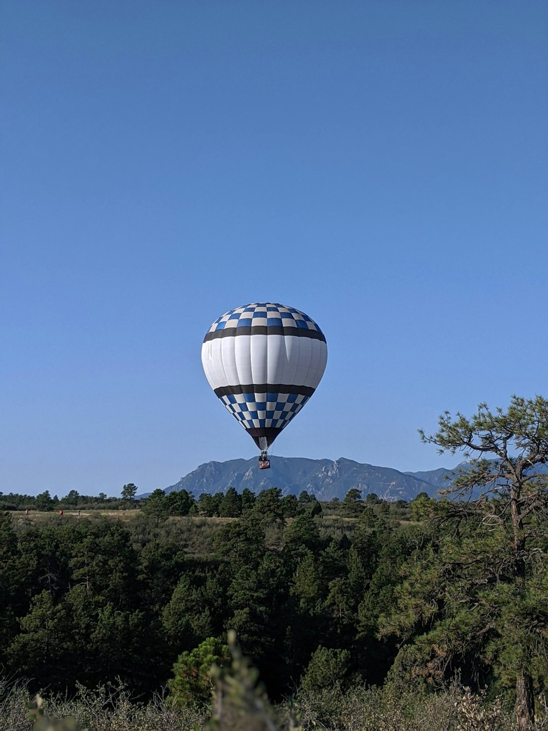 hot air balloon on mid air during daytime