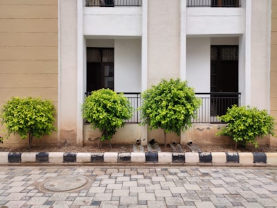 green plants in front of white concrete building