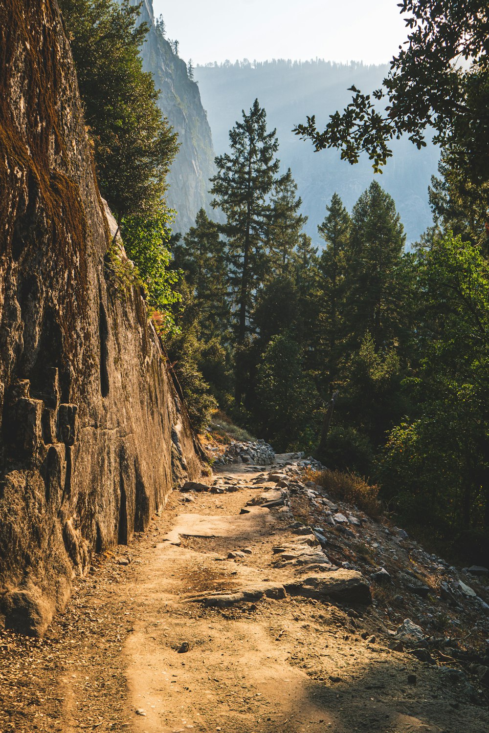 brown rocky mountain with green trees during daytime