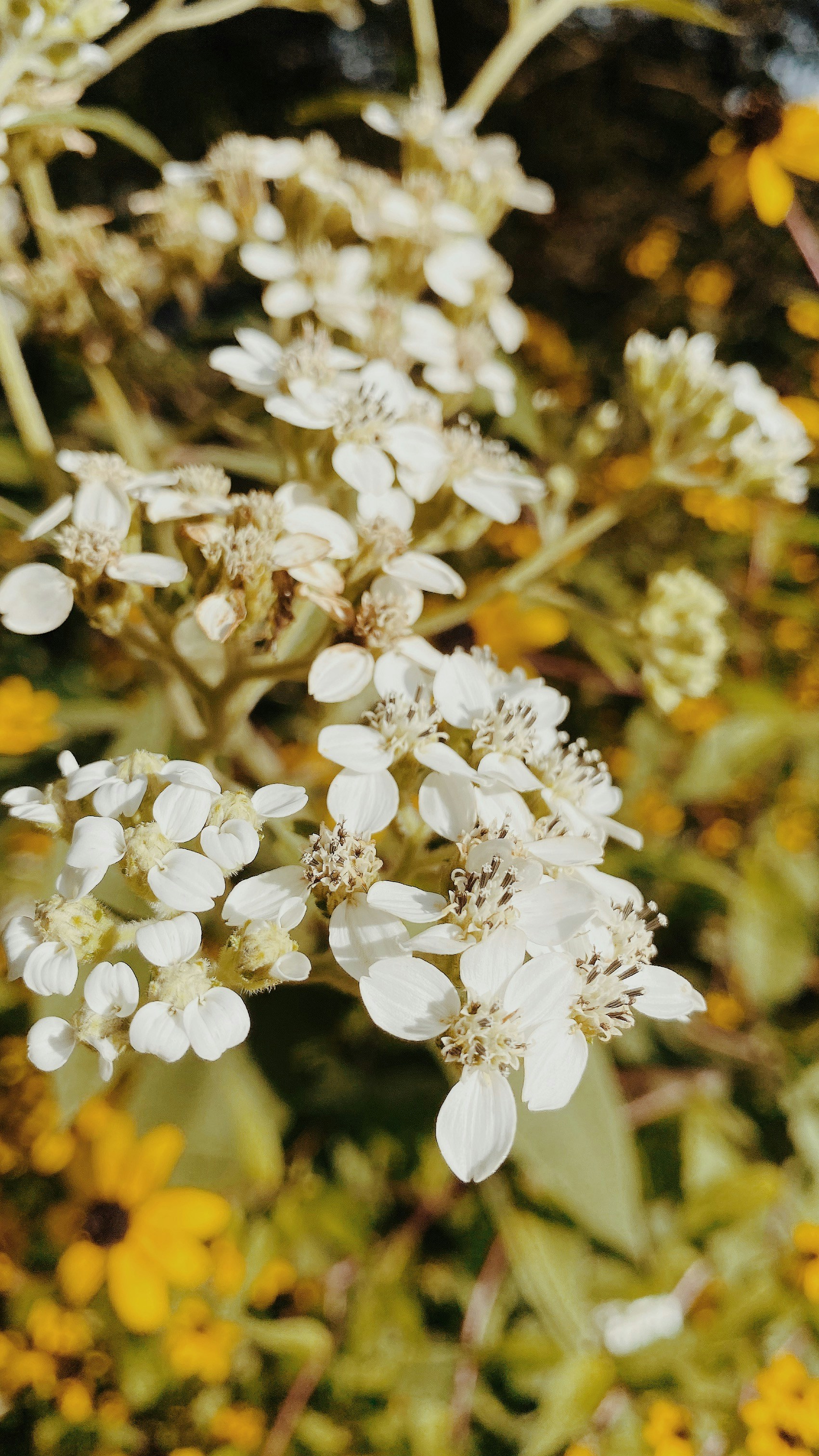 Photo by queenmissyevans