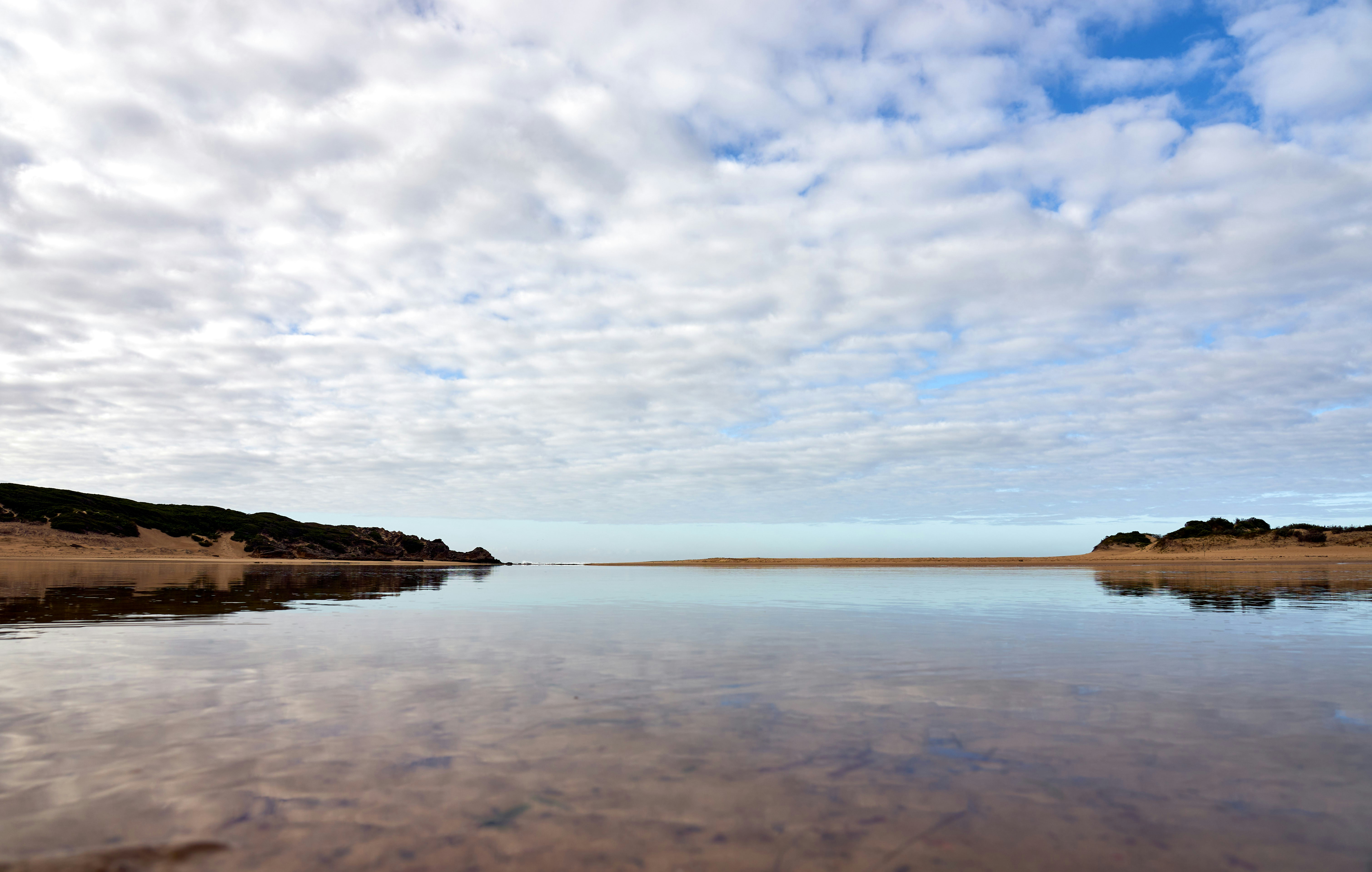 Photo by wolfgang_hasselmann