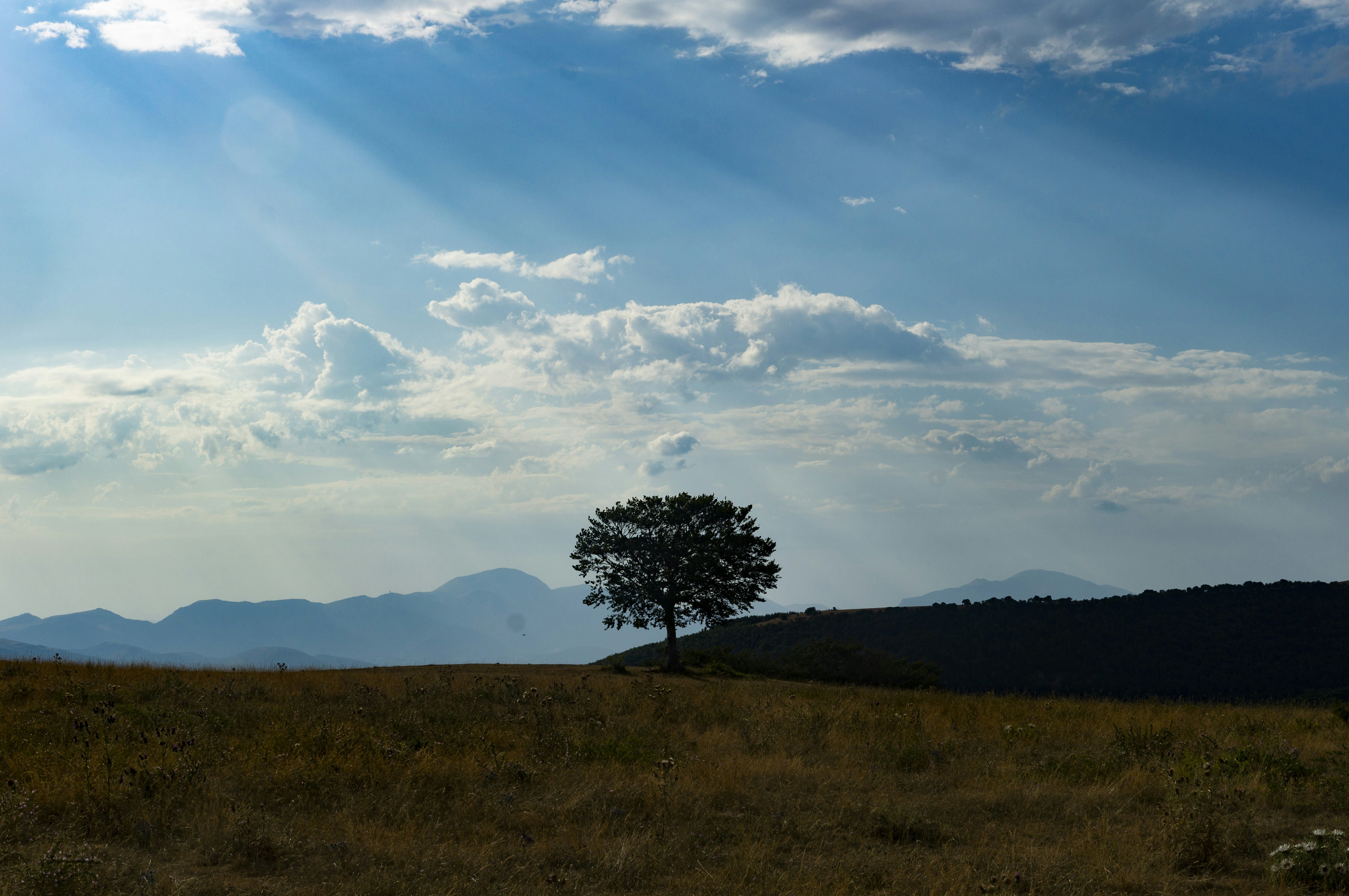 Photo by giuliettacapp