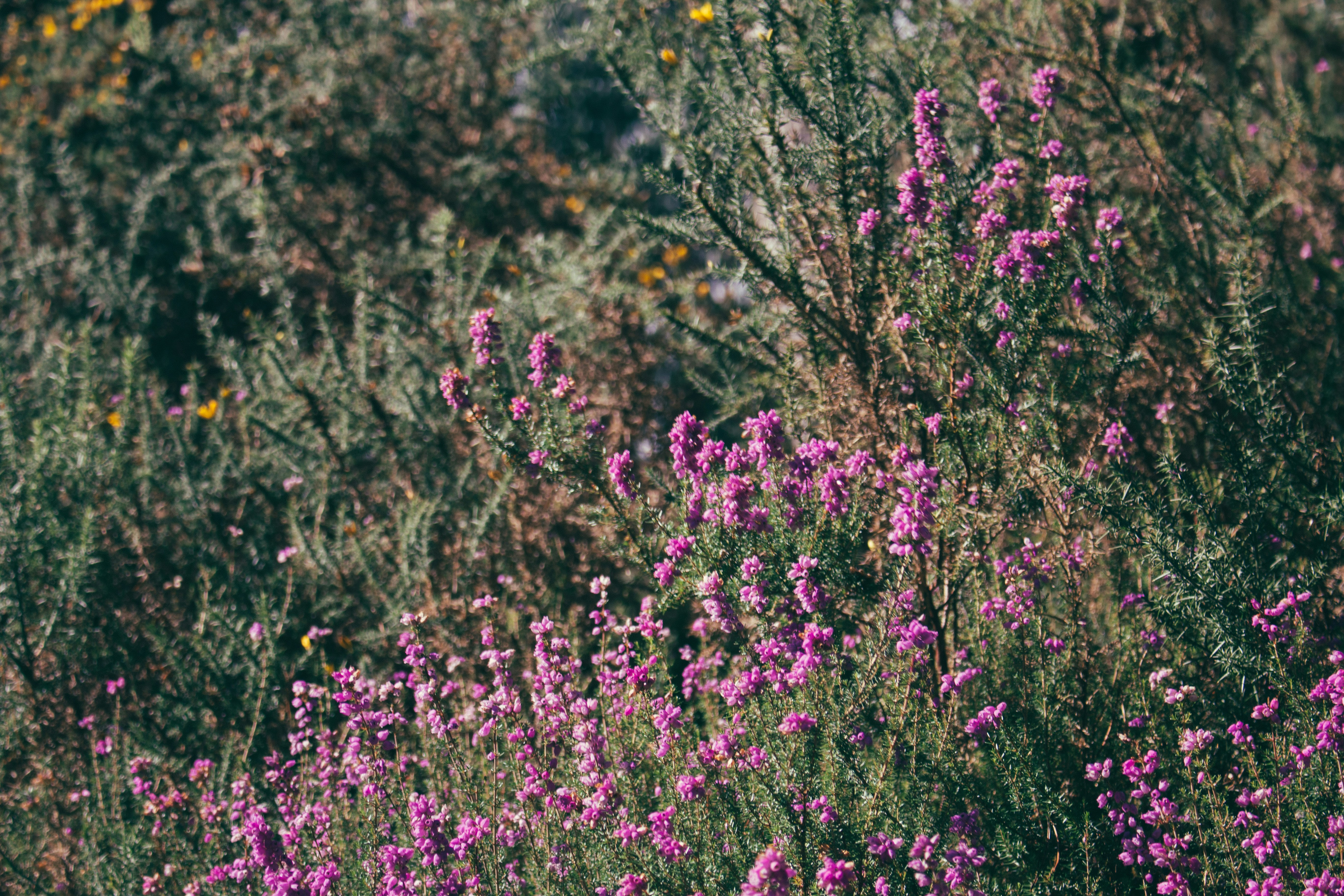 Photo by jamesbutterly