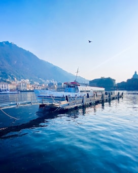 A boat named 'GIGLIO' is docked on calm blue waters, with a boardwalk leading to it. There is a town or city with buildings nestled at the base of a large, tree-covered hillside in the background. A single bird is flying in the sky.
