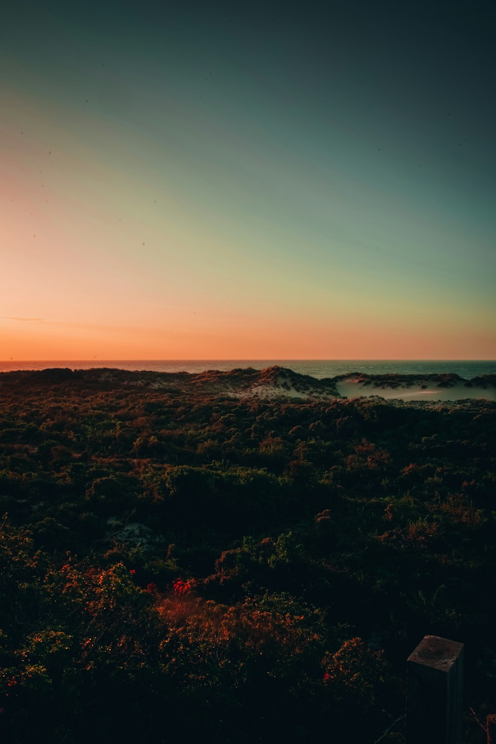 green grass field near body of water during sunset