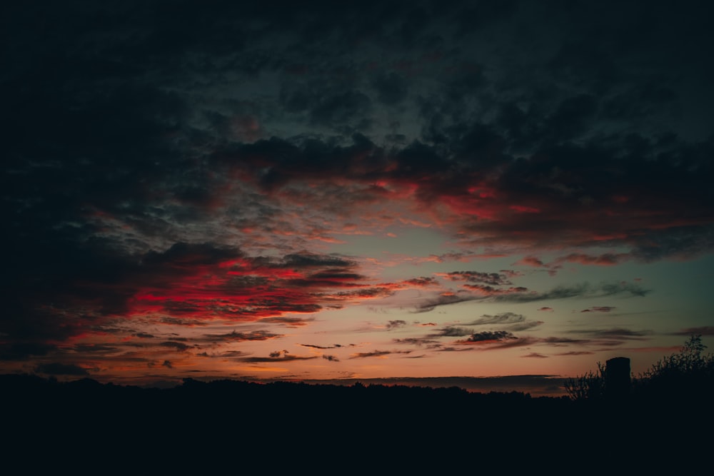 silhouette of trees during sunset