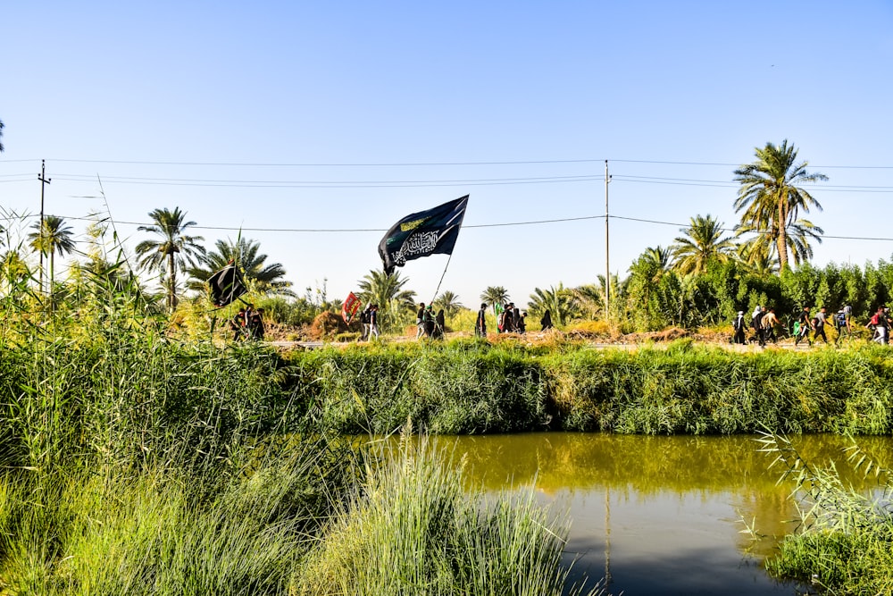 Champ d’herbe verte près d’un plan d’eau pendant la journée