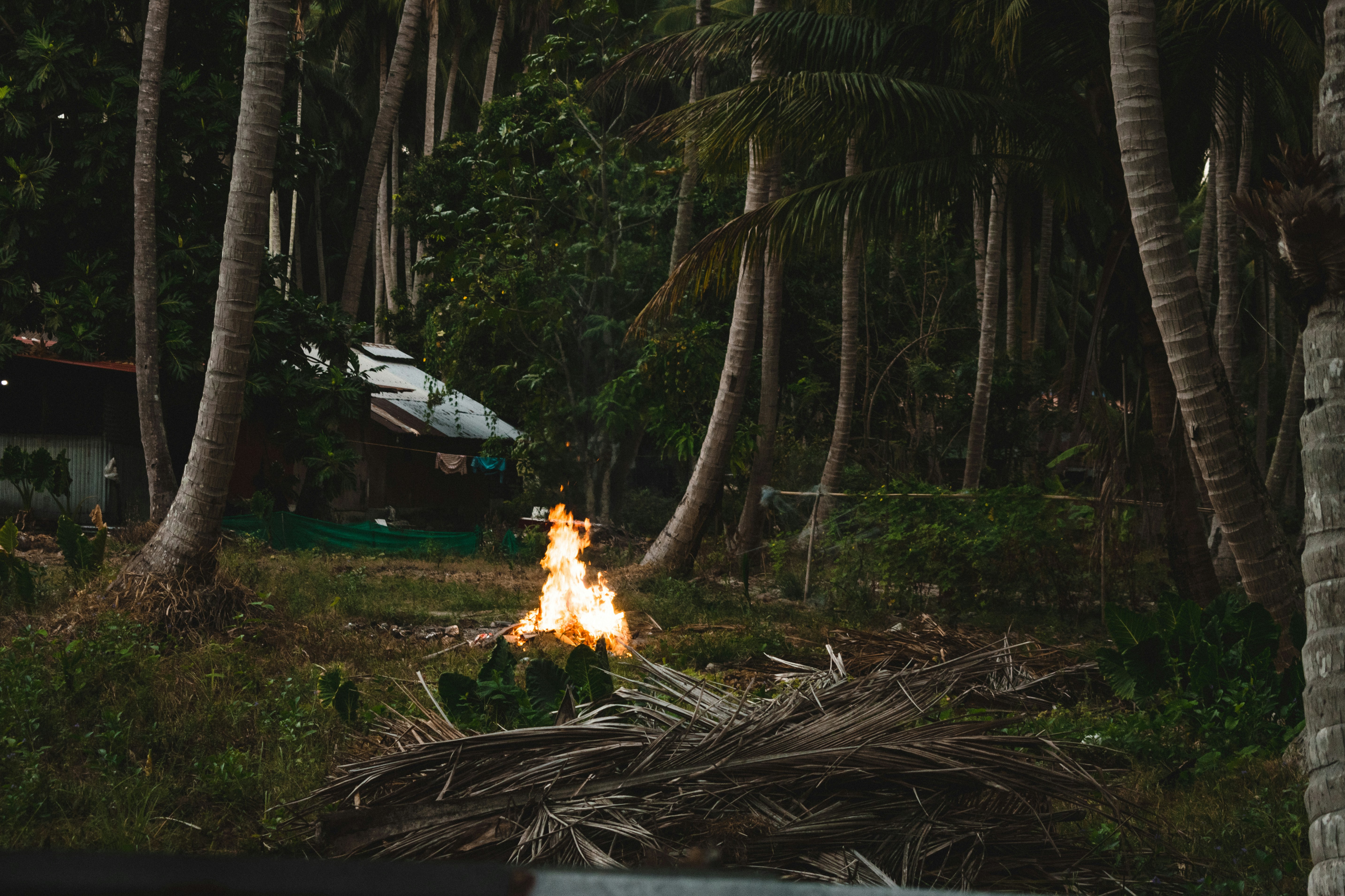 Photo by sahilyadav10