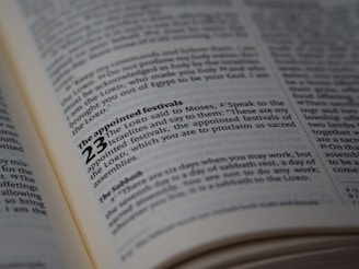 A group gathered in a circle studying the seven holy Mo'ed festivals.