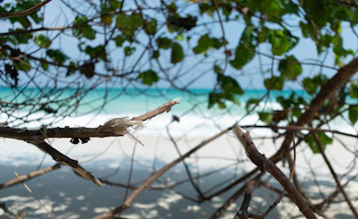 Golden Triangle & Leisurely Andaman