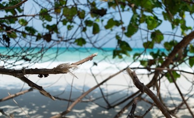 Golden Triangle Andaman beach leisure wellness