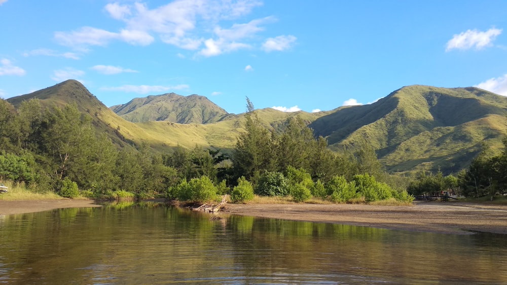 green trees near lake and mountain under blue sky during daytime