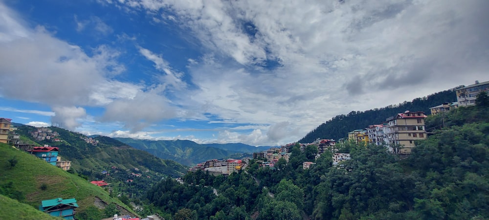 green trees under white clouds and blue sky during daytime