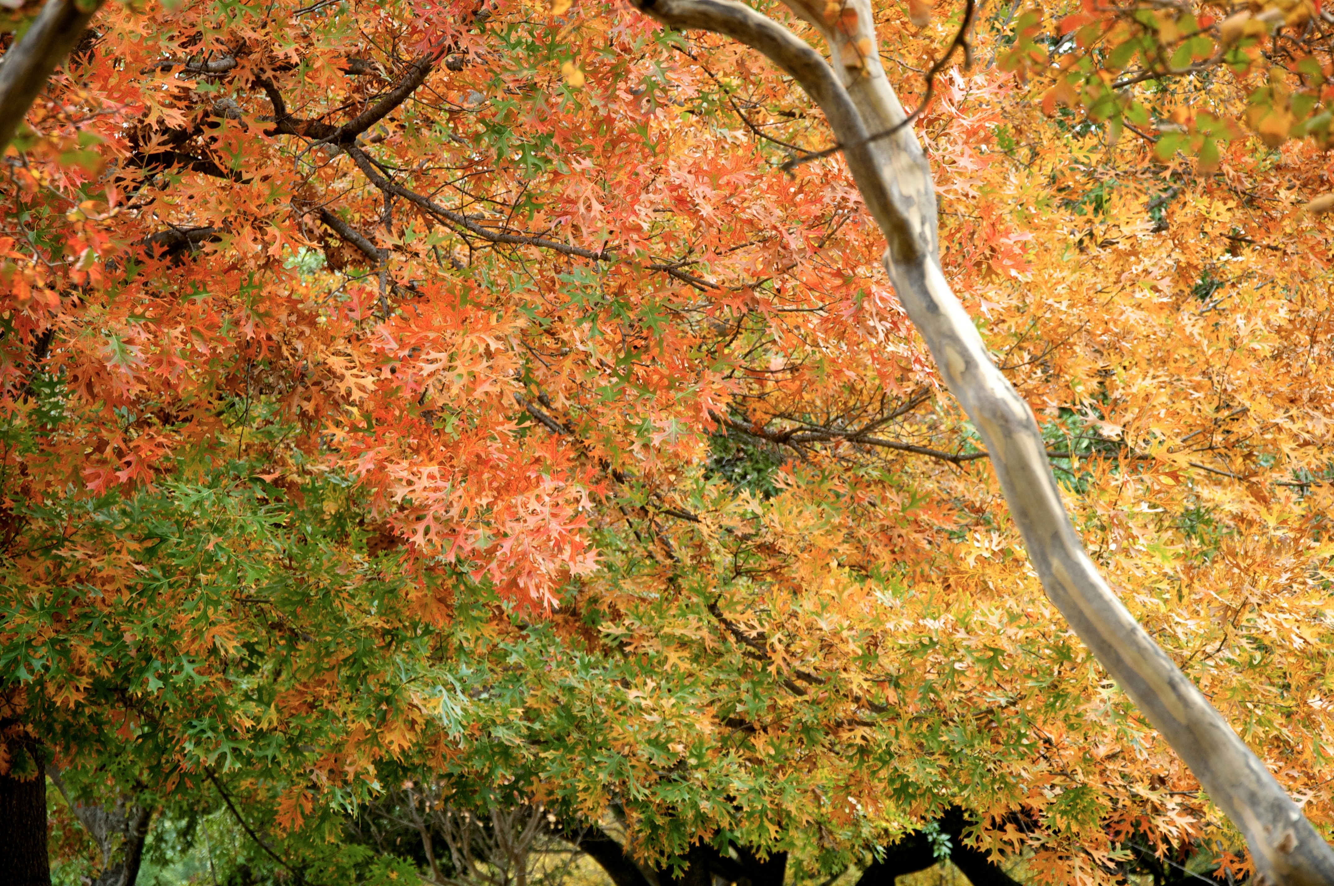 Photo by cameramandan83