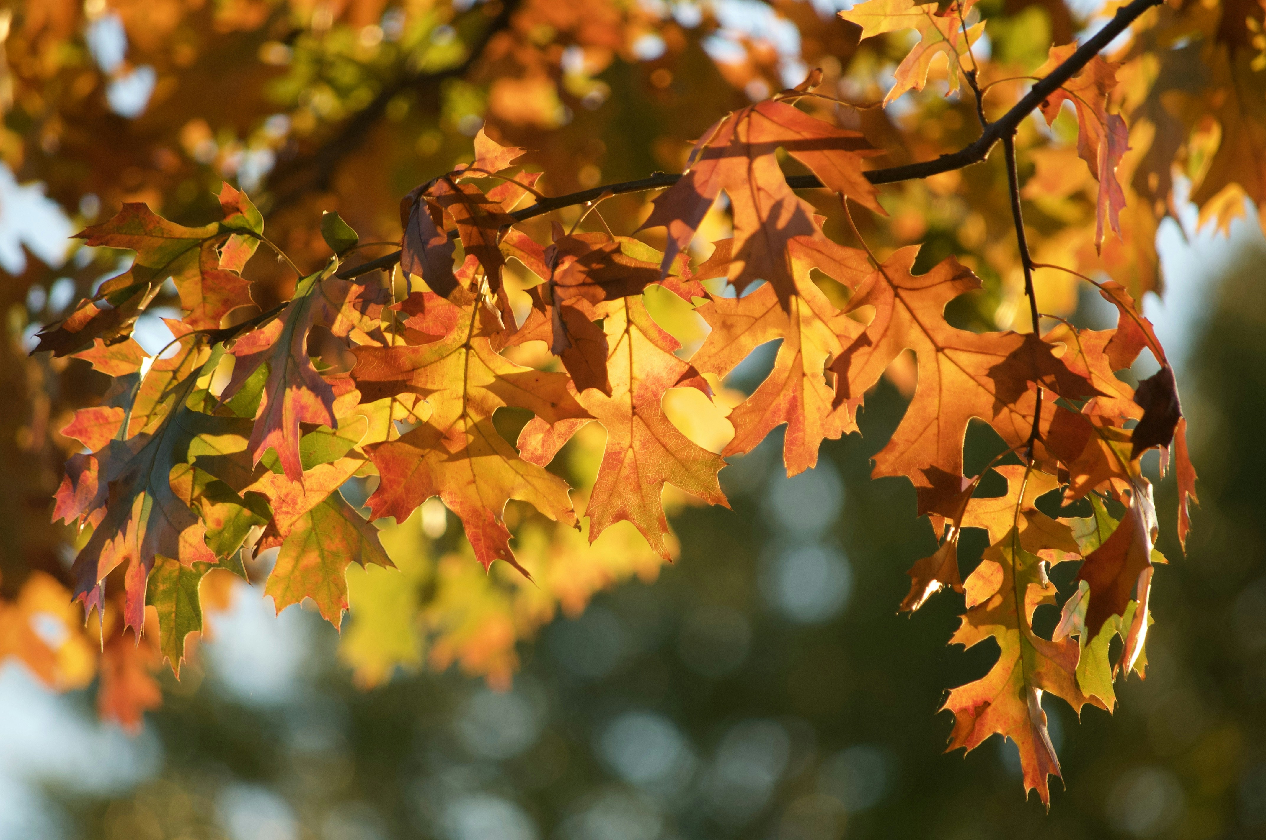 Photo by cameramandan83